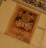 1900 Esztergom, kisdedóvónői oklevél 50x36 cm