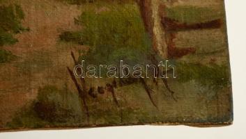 Neogrády jelzéssel: Vizimalom. Olaj, karton, 13×18 cm