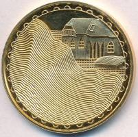 1999. "Helyreállítás - Újjáépítés" aranyozott fém emlékérem (42,5mm) T:2