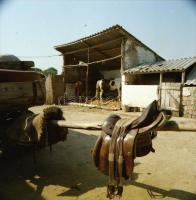 1984 Szántódpuszta, 13 db szabadon felhasználható vintage negatív, 6x6 cm