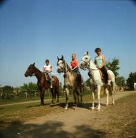 1984 Szántódpuszta, 13 db szabadon felhasználható vintage negatív, 6x6 cm