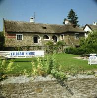 1984 Szántódpuszta, 13 db szabadon felhasználható vintage negatív, 6x6 cm