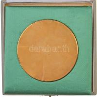 Vincze Dénes (1914-1972) ~1960. Aranyozott bronz szocreál plakett eredeti zöld dísztokban (81mm) T:1