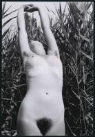 cca 1974 Vadkempinges emlékek, 4 db szolidan erotikus akt fotó, korabeli vintage negatívokról készül...