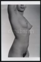 cca 1971 Ruha és álarc nélkül, 4 db szolidan erotikus akt fotó, korabeli vintage negatívokról készül...