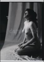 cca 1973 Modell archívumból, 4 db szolidan erotikus akt fotó, korabeli vintage negatívokról készült mai nagyítások 25x18 cm-es fotópapírra / 4 erotic photos, 25x18 cm