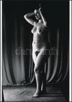 cca 1973 Modell archívumból, 4 db szolidan erotikus akt fotó, korabeli vintage negatívokról készült ...