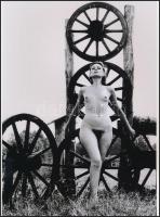 cca 1978 Természet közelben, 4 db szolidan erotikus akt fotó, korabeli vintage negatívokról készült ...