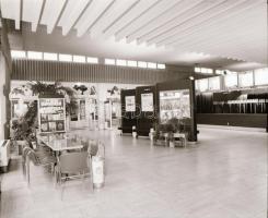 1982 Budapest, Olimpia mozi külső-belső felvételei, 10 db szabadon felhasználható vintage negatív, 6...