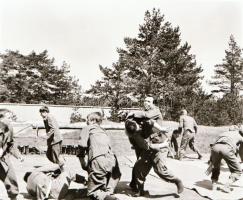 ,,Az Abwehr ügynöke" című film állóképei, 29 db negatív, ezekről készültek a mozik előcsarnokáb...