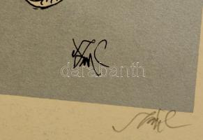 Szász Endre (1926-2003): Női portré. Szitanyomat (100/8), papír, jelzett, kis szakadással, 29×41 cm