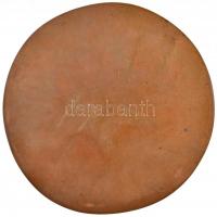 Osváth Mária (1921- ) 1973. "Hermann Ottó 1835-1914"  egyoldalas Br plakett (431g/142-143m...