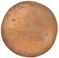 Osváth Mária (1921- ) 1974. "Aba-Novákné Kató 1896-1958" egyoldalas Br plakett (794g/148mm...