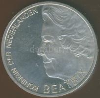 Hollandia 1995. 10G Ag "H. de Groot" T:BU