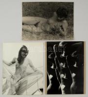 cca 1978 Aktfotók tétele, 3 db vintage fotóművészeti alkotás, 40x30 cm / 3 nude photos, 40x30 cm