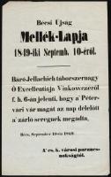 1849 szeptember 10. Hirdetmény. A Bécsi Újság melléklapja, mely beszámol a Péterváradi vár kapitulációjáról. /  1849 Army report egarding the occupation of the Peterwaradin castle 24x38 cm