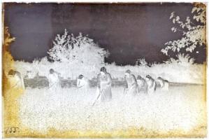 cca 1920 Rappensberger Andor m. kir. erdőfőtanácsos 13 db vintage üveglemez negatívja változatos tém...