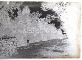 cca 1933 Ballószög feliratú dobozban 13 db vintage üveglemez negatív Lőcsei Árpád (?-?) kecskeméti v...