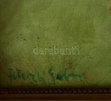 Peterdi Gábor (1915-2001): Szolnok 1930. Olaj, vászon, jelzett, üvegezett keretben, 45×65 cm