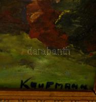 Kaufmann jelzéssel: Hegyvidéki tó, olaj, fa, sérült keretben, 29×39 cm