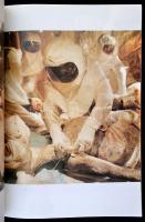 1982 E.T. filmkönyv, angol és magyar nyelven:
William Kotwinkle, Melissa Mathison: E.T. The Extra-T...