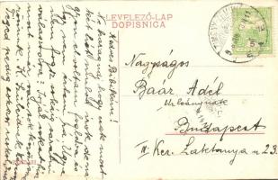 Zimony, Zemun, Semlin; A Dunai Gőzhajózási Társaság Főügynöksége / Hauptagentie der k.k. priv. Donau...