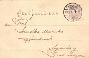 1899 A D.G.T. Budapest gőzöse budapesti látképekkel / Budapest Dampfer with panorama views, Schulz J...