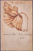 1903 Saját készítésű falemez képeslap pipaccsal / Custom made wooden card with poppy