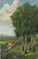 5 db RÉGI művészlap, köztük Rob Kämmerer, n. v. Santhó, Alfred James Dewey aláírásaival, néhány lith...