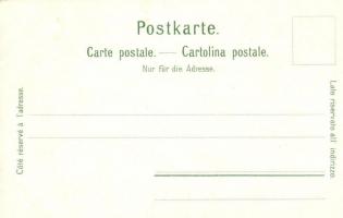 Zürich, Tonhalle, Alpenquai, Uitliberg, Polytechnikum, Seidenwarenerzeugung C. Henneberg. Geographis...