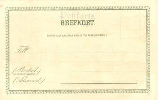 Stockholm, Hissen, Volkstracht. Geographische Postkarte v. Wilhelm Knorr No. 143. Art Nouveau litho