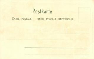 Nice, Nizza; Geographische Postkarte v. Wilhelm Knorr No. 53. Art Nouveau floral litho (EK)