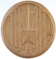 Zutt Richard (1887-1938) 1914. "KÉVE Művészegyesület" jelzetlen sárgaréz emlékérem. "...