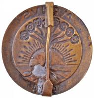 1908. "1908. Május 1" Br lemez jelvény (29mm) + 1931. "1931. Május 1" Br lemez k...