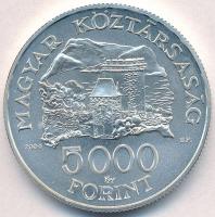 2004. 5000Ft Ag "Visegrádi vár" T:BU 
Adamo EM192