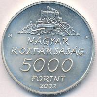 2003. 5000Ft Ag "Hollókő" T:BU
Adamo EM185