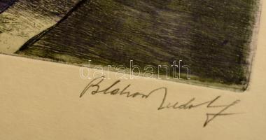 Blahos Rudolf (1917-1986): Virágok. Színezett rézkarc, papír, jelzett, 39×29 cm