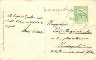 Szovátafürdő, Sovata; Petőfi-szálló. Adler fényirda / hotel