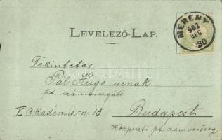 Merény, Szepesmerény, Nálepkovo; Távirdaoszlop-telítő telep. Kiadja Soós / panorama view with telegr...