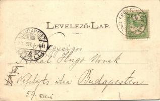 Feketehegyfürdő, Merény, Nálepkovo; villák. Matz Gusztáv / villas (EK)