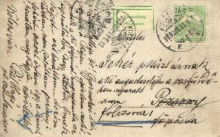 1908 Pozsony, Pressburg, Bratislava; Vaskutacska, Eisenbrünnel; Ferdinánd király vasfürdő / spa, pho...