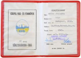 1985. "Csepel Vas- és Fémművek - 40 éve Törzsgárda tag" aranyozott, zománcozott kitűző (23...