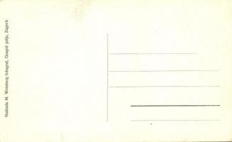 Lika vasútvonal autóbusza / Licka zeljezníca. Naklada M. Weinberg fotograf / Lika railway, autobus (...