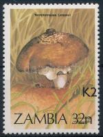 Gomba felülnyomott bélyeg, Mushroom overprinted stamp