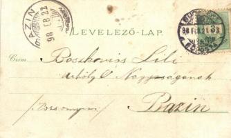 1898 Budapest, Régi városháza, országház, Kálvin tér, Carl Otto Hayd Kunstverlag, floral, litho