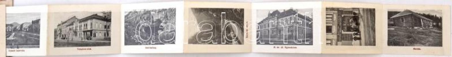 Petrozsény, Petrosani; Bányatársulati tiszti kaszinó, vasútállomás, szénosztályozó, leporellólap, Mu...