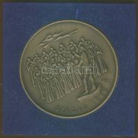 1982. "MÉE - Szeged" Br plakett T:2