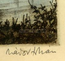 Zádor István (1882-1963): Visegrád. Színezett litográfia, papír, jelzett, üvegezett keretben, 32,5x4...