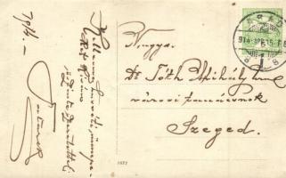 1914 Arad, Paplak dohányzó pappal a kertben / rectory with smoking priest in the garden, photo