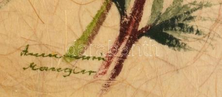 Olvashatatlan jelzéssel: Kamilla. Vegyes technika, rostpapír, üvegezett keretben, 32×12 cm